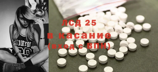 дмт Бородино