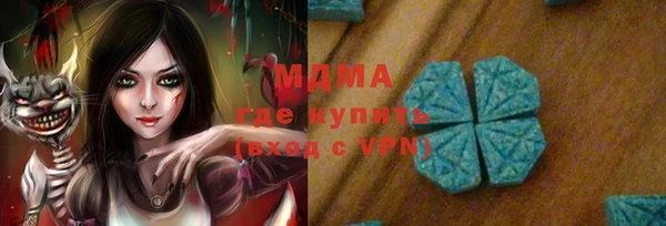 дмт Бородино