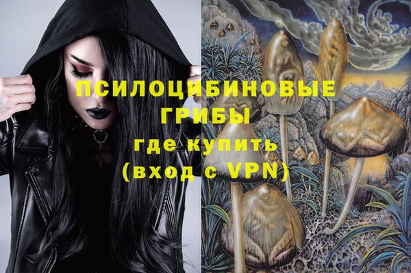 дмт Бородино