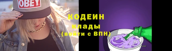 дмт Бородино
