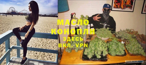 дмт Бородино