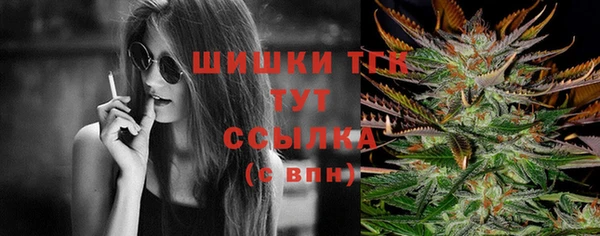 дмт Бородино