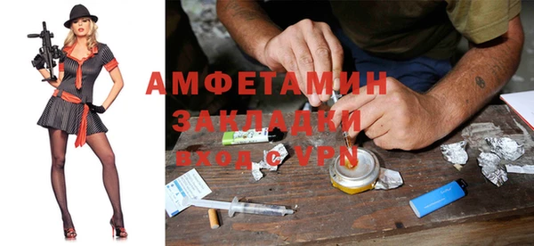 дмт Бородино